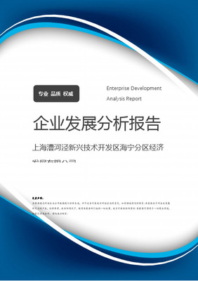 上海市徐匯區漕河涇開發區企業名錄與網絡技術服務生態分析