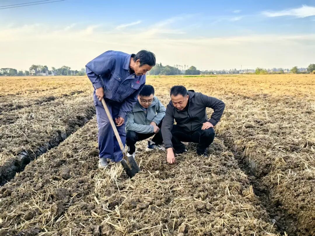 “農技+農機”雙擎驅動，為秋播秋種注入優質“種子力量”